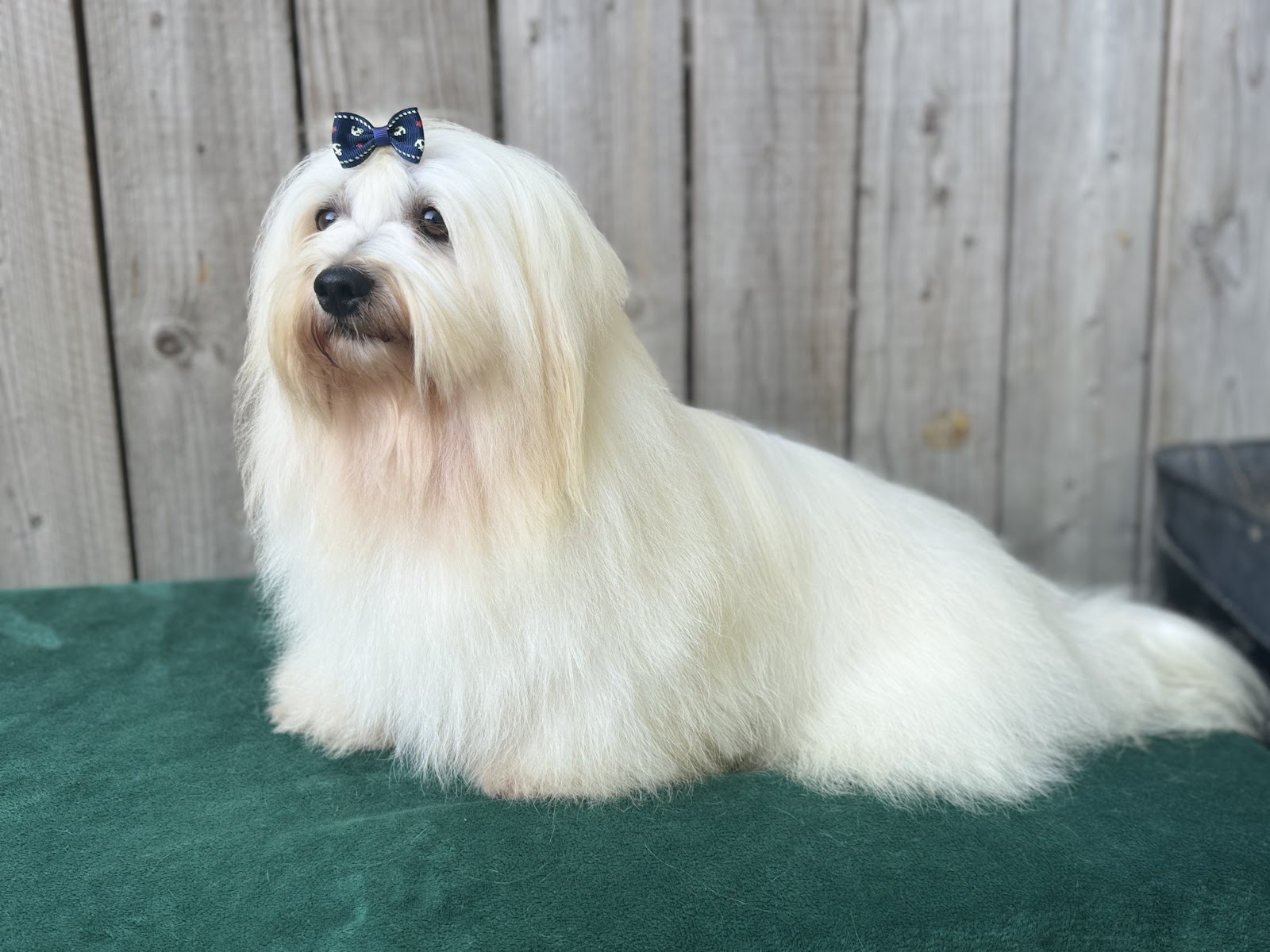 6753036f4e6d946dd4559bca